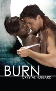 Cover Art for BURN by Crystal Hubbard