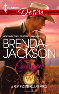 Cover Art for CANYON by Brenda Jackson