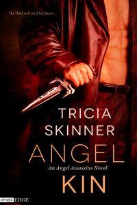 Cover Art for Angel Kin by Tricia Skinner