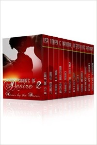 Cover Art for SHADES OF DESIRE 2 by Yvette Hines