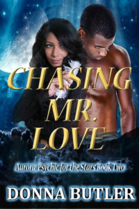 Cover Art for CHASING MR. LOVE by Donna Butler