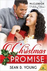 Cover Art for THE CHRISTMAS PROMISE by Sean D. Young