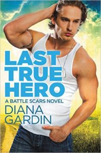 Cover Art for LAST TRUE HERO by Diana Gardin