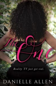 Cover Art for The One by Danielle Allen