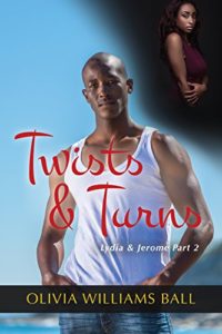 Cover Art for Twists & Turns by Olivia Williams Ball