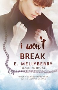 Cover Art for I Won’t Break by E.  Mellyberry