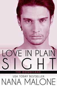 Cover Art for Love in Plain Sight by Nana  Malone