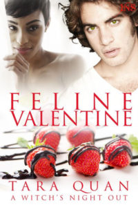 Cover Art for FELINE VALENTINE by Tara Quan