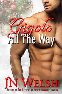 Cover Art for Gigolo All The Way by JN Welsh