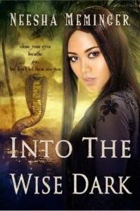 Cover Art for Into the Wise Dark by Neesha Meminger