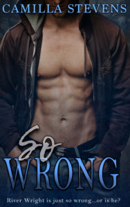 Cover Art for So Wrong by Camilla Stevens