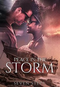 Cover Art for PEACE IN THE STORM by Seven Steps