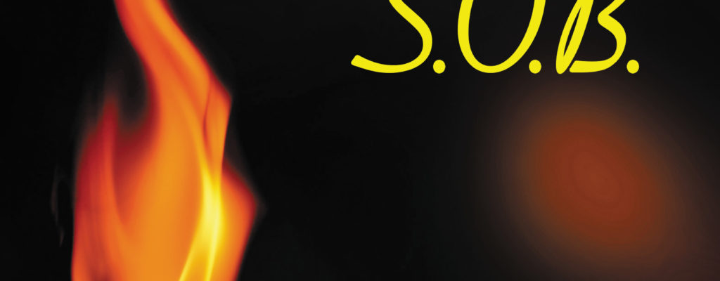 Cox_WickedSOB_ebook.jpg