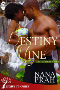 Cover Art for Destiny Mine by Nana Prah