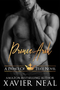 Cover Art for Prince Arik by Xavier Neal