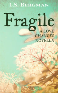 Cover Art for Fragile by L.S. Bergman