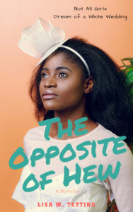 Cover Art for The Opposite of Hew by Lisa W. Tetting