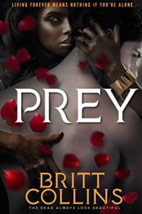 Cover Art for Prey by Britt Collins