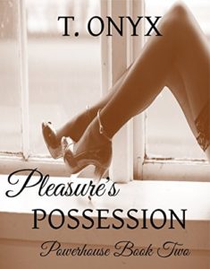 Cover Art for Pleasure’s Possession by T Onyx