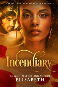 Cover Art for Incendiary by Elisabeth 