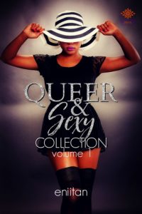 Cover Art for Queer and Sexy Collection Vol 1 by Eniitan 