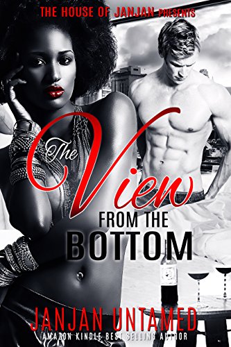 Cover Art for The View from the Top by JanJan  Untamed