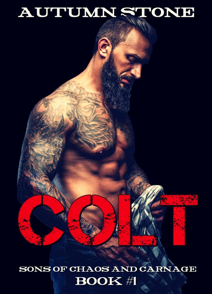 Cover Art for Colt by Autumn Stone 