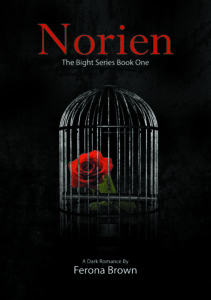 Cover Art for NORIEN by FERONA BROWN