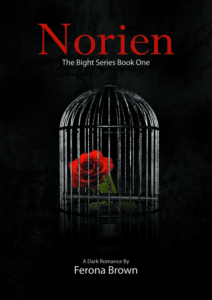 Cover Art for NORIEN by FERONA BROWN