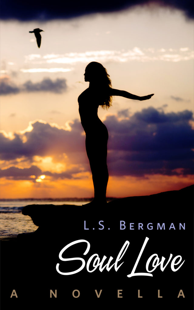 Cover Art for Soul Love by L.S. Bergman