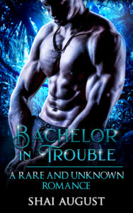 Cover Art for Bachelor In Trouble by Shai August