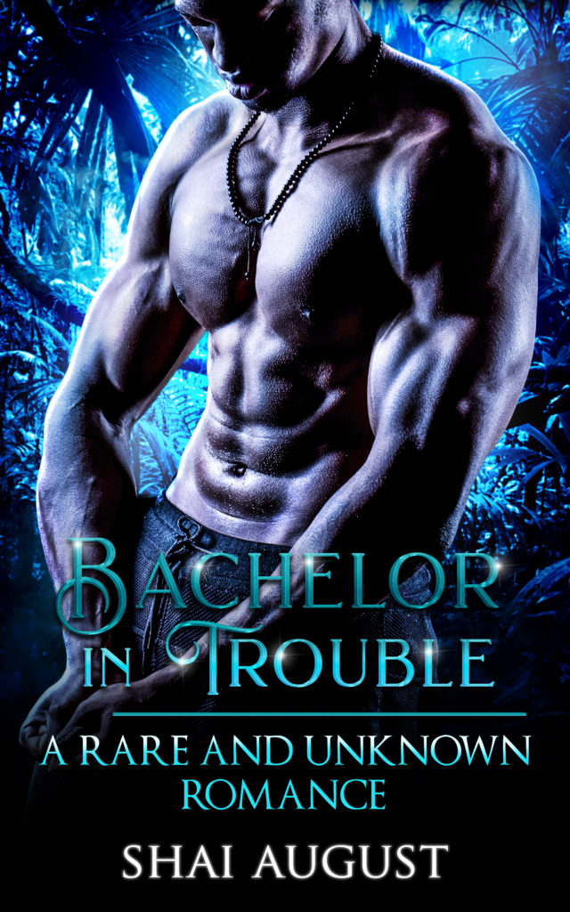 Cover Art for Bachelor In Trouble by Shai August