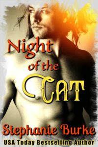 Cover Art for Night Of The Cat by Stephanie Burke