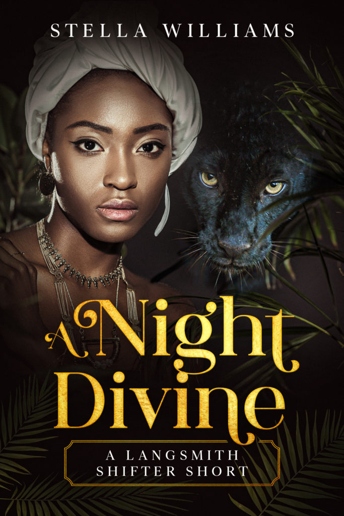 Cover Art for A Night Divine by Stella Williams