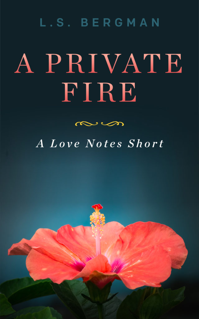 Cover Art for A Private Fire by L.S.  Bergman