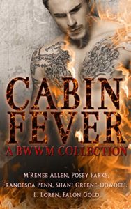Cover Art for Cabin Fever: A BWWM Collection by L. Loren