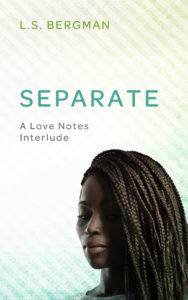 Cover Art for Separate by L.S. Bergman