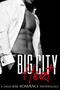 Cover Art for Big City Heat by Maida Malby