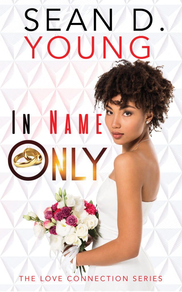 Cover Art for In Name Only by Sean D. Young